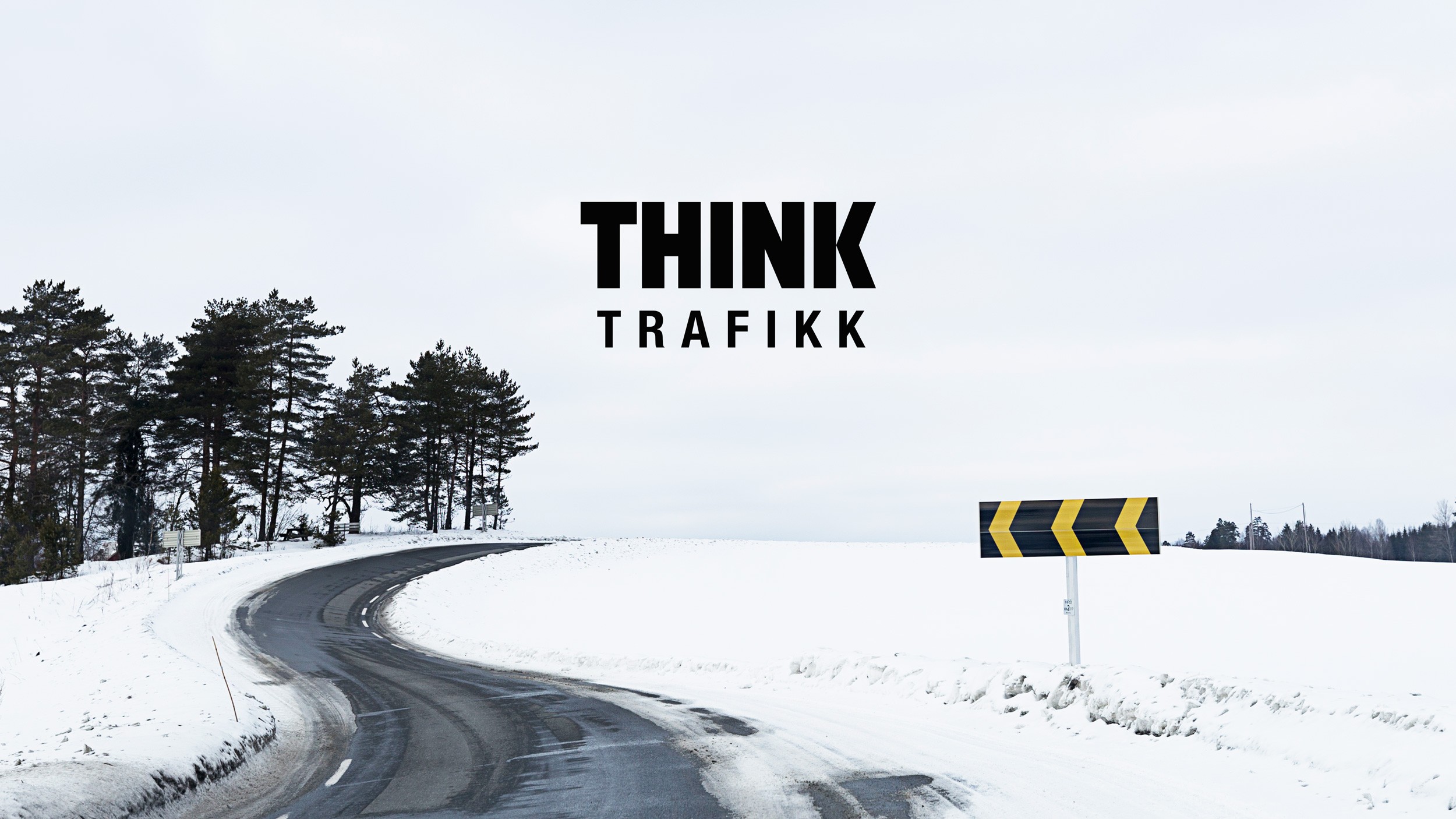 visual example 3 of design work - two tone sculptures 