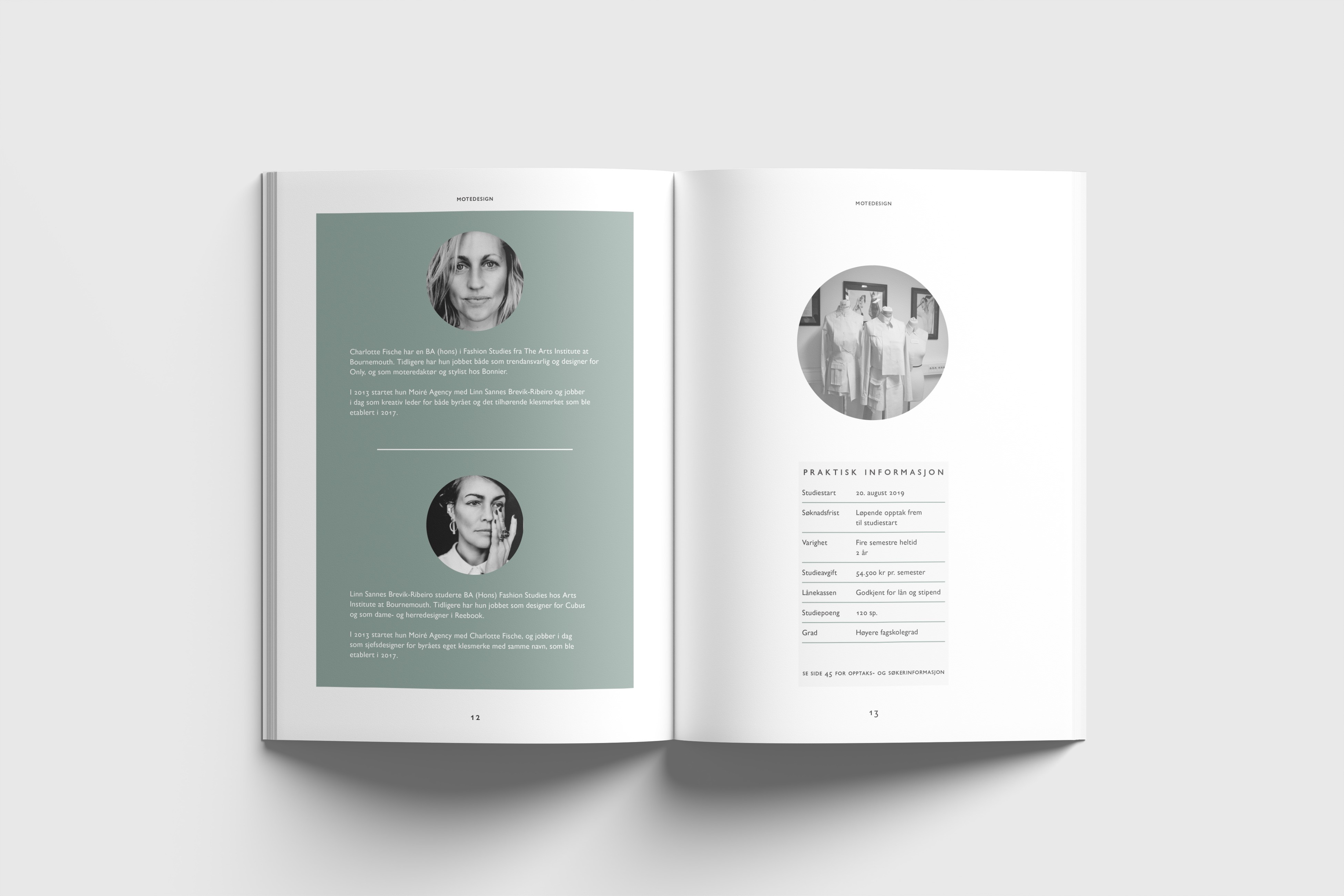 visual example 3 of design work - two tone sculptures