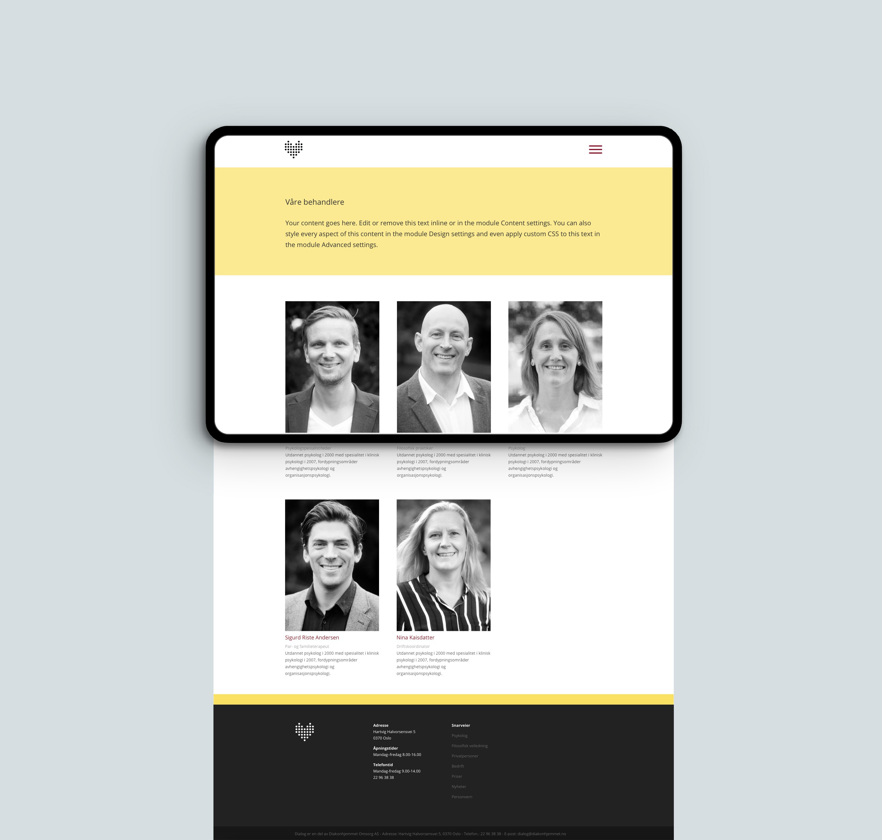 People working at Dialog