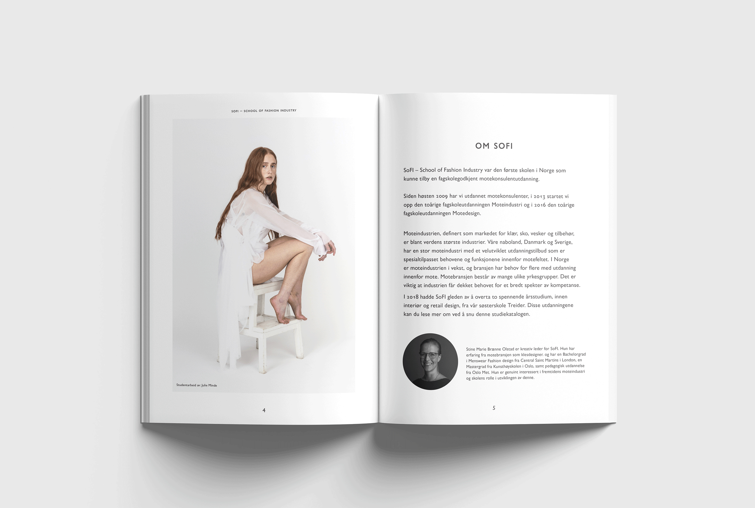 visual example 3 of design work - two tone sculptures